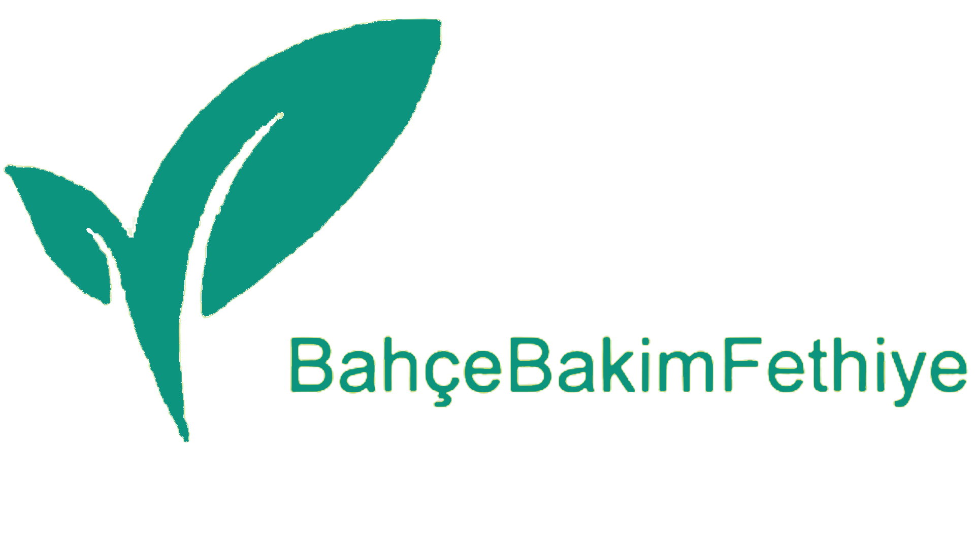 Bahçe Bakım- Havuz Bakım Fethiye